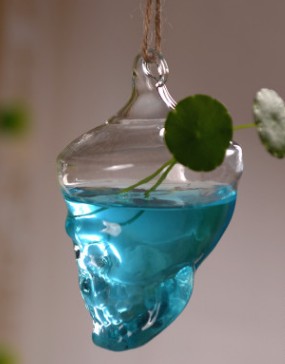 Hanging Skull Glass Vase with Transparent Design
