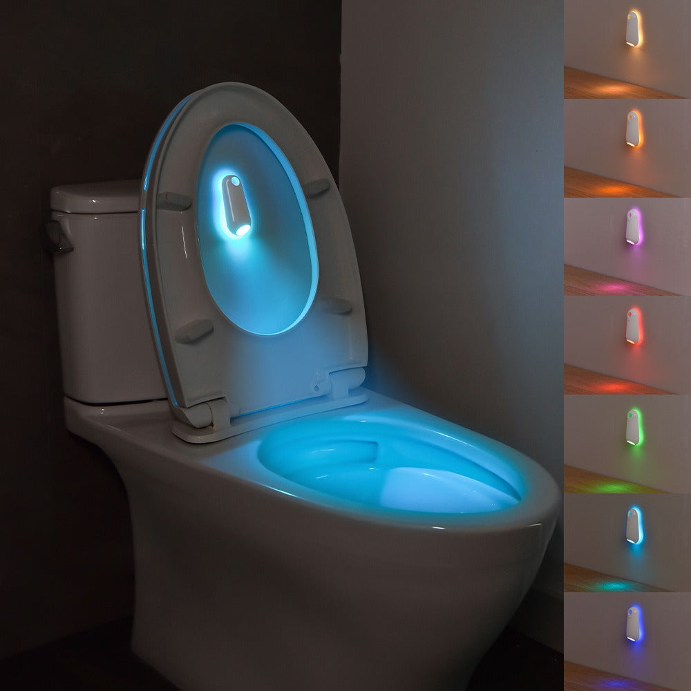 Toilet Induction Ambient Light