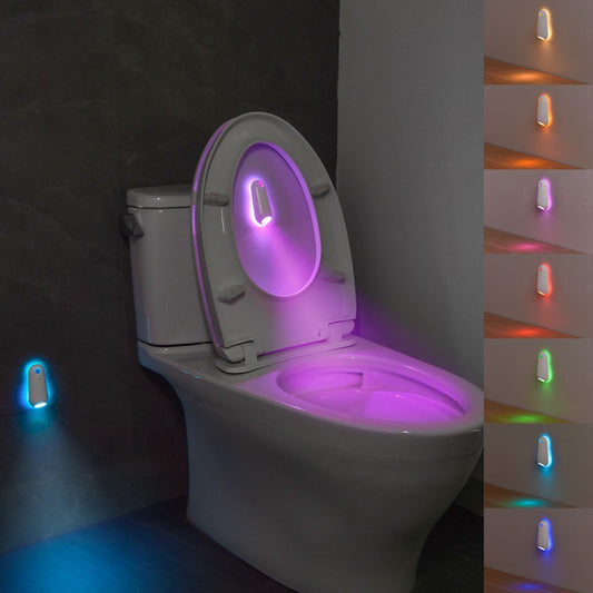 Toilet Induction Ambient Light