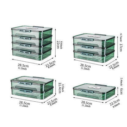Transparent Dumpling Storage Box