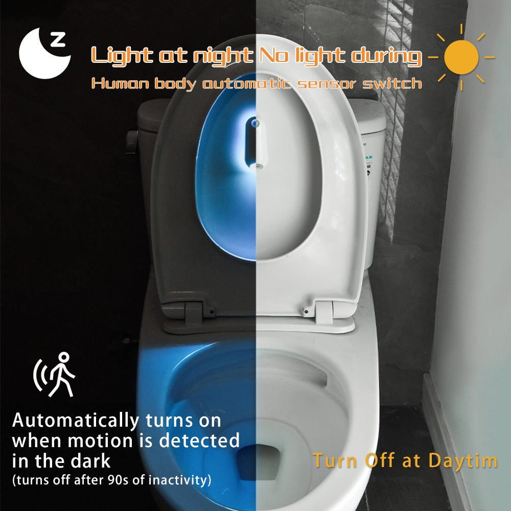 Toilet Induction Ambient Light