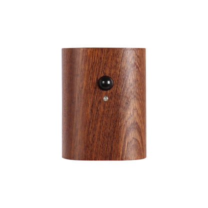 Solid Wood Grain Human Body Induction LED Wall Lamp