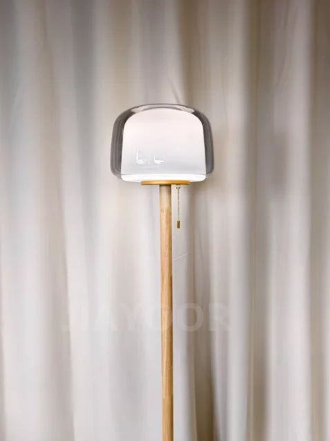 Modern Creative Glass Floor Lamp Simple Sofa Side Decorative Lighting Living Room Bedroom Bedside Lamp LED Reading Desk Light