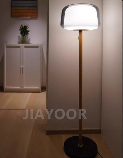 Modern Creative Glass Floor Lamp Simple Sofa Side Decorative Lighting Living Room Bedroom Bedside Lamp LED Reading Desk Light