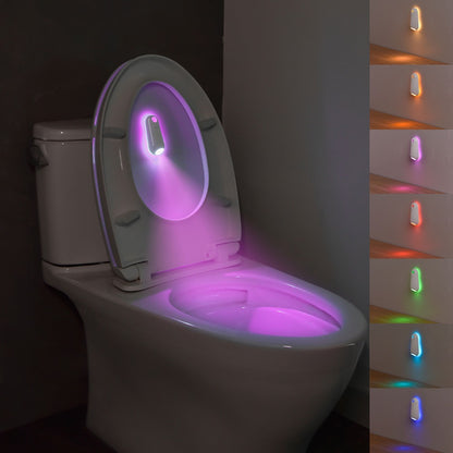 Toilet Induction Ambient Light