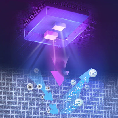 Electric Toothbrush Sterilizer Wall Mount