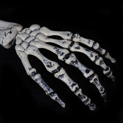 Halloween Skeleton Decoration Set for Garden (3 Pieces)