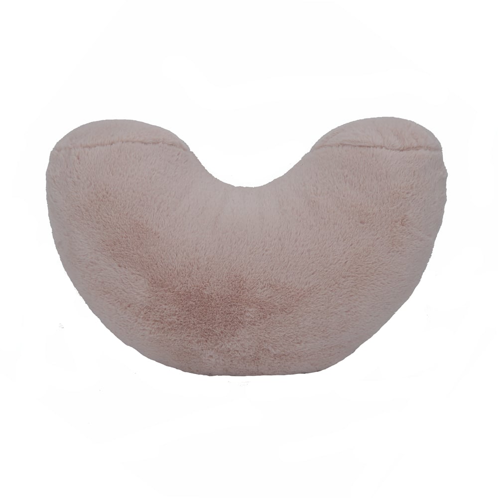 Girls Heart Soft Decorative Pillow for Bedside Window