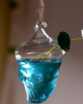Hanging Skull Glass Vase with Transparent Design